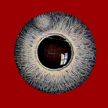 Eye 2